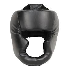 Boxer Head Guard