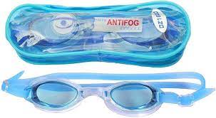 Anti Fog Goggle